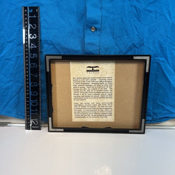 Mint Bob Talbot Whale Tail Framed and Matted under Glass Rare - Picture 2 of 4